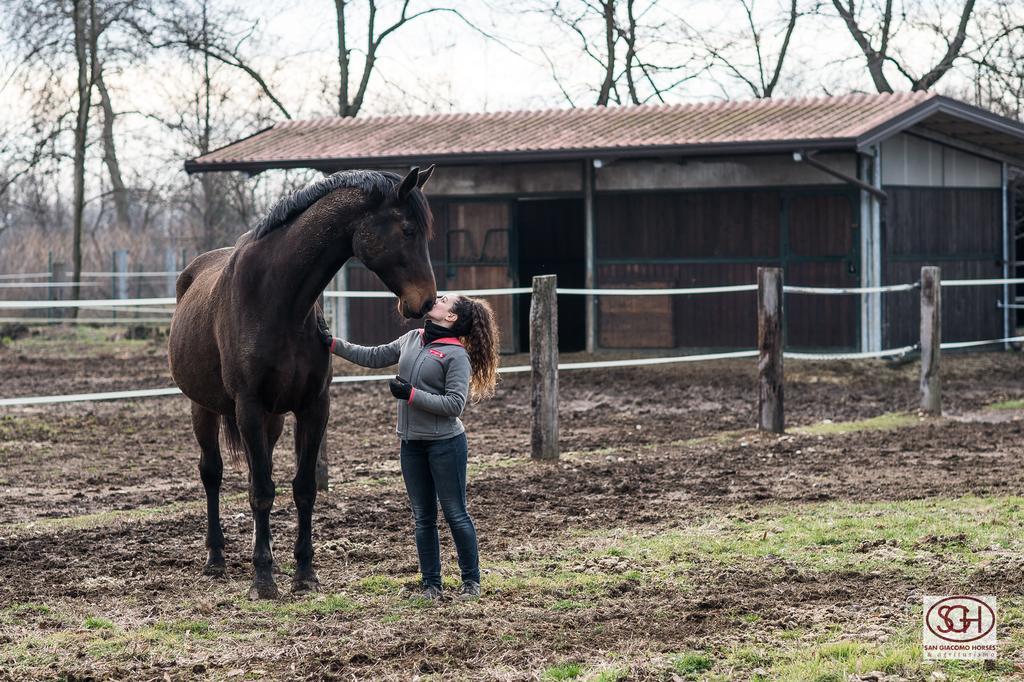 San Giacomo Horses & Agriturismo Arluno Extérieur photo