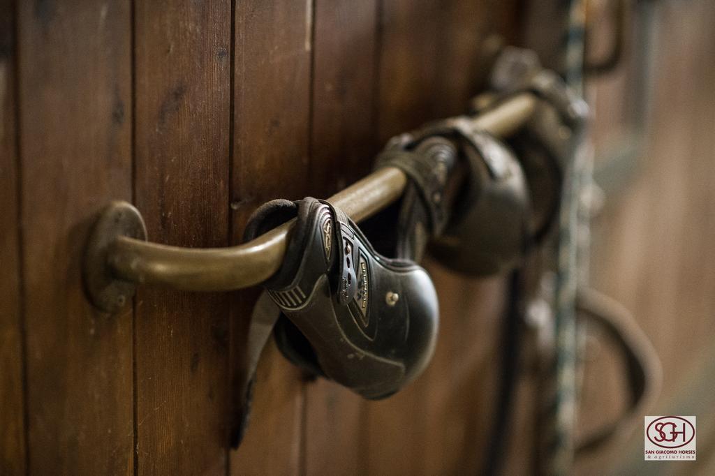 San Giacomo Horses & Agriturismo Arluno Extérieur photo