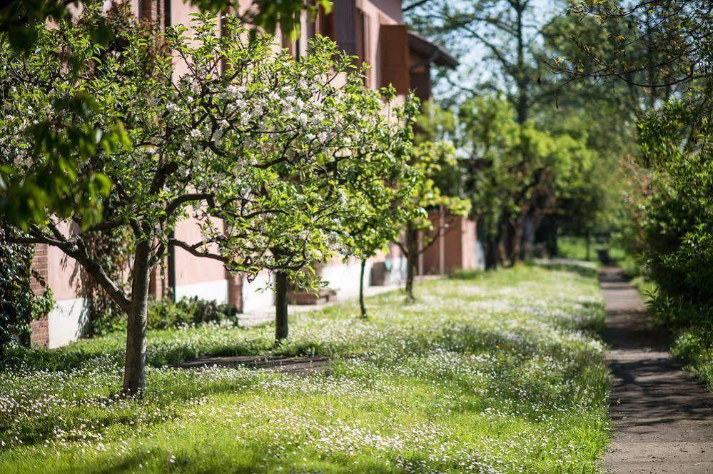 San Giacomo Horses & Agriturismo Arluno Extérieur photo