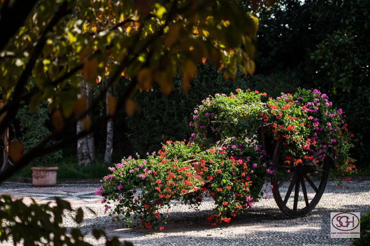San Giacomo Horses & Agriturismo Arluno Extérieur photo